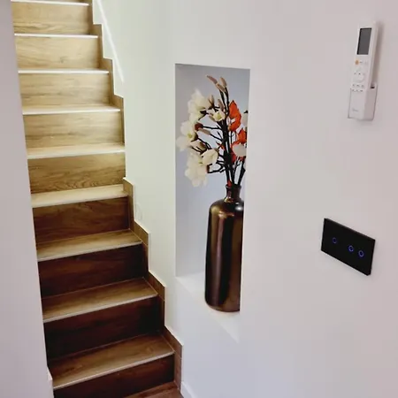 Veneziana Apartman *